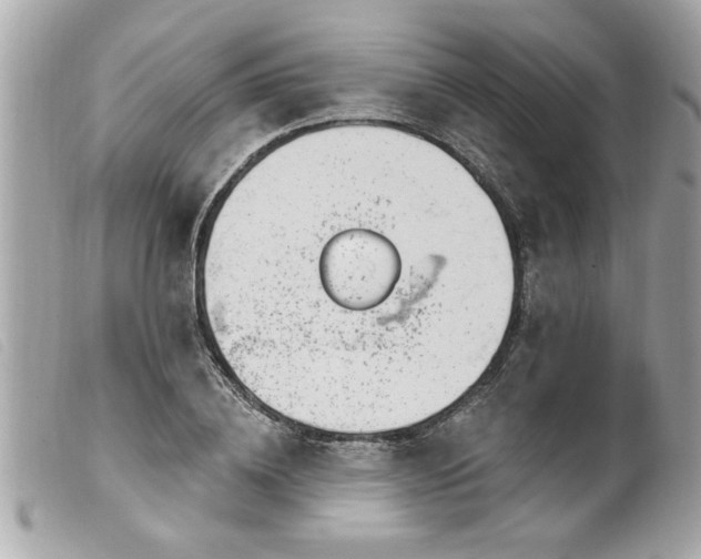 X0000100210836200805301324