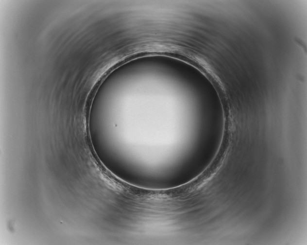 X0000100210837200805301324