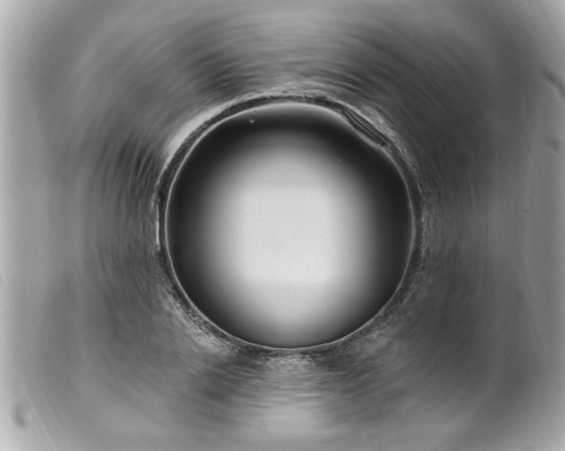 X0000100210838200805301324