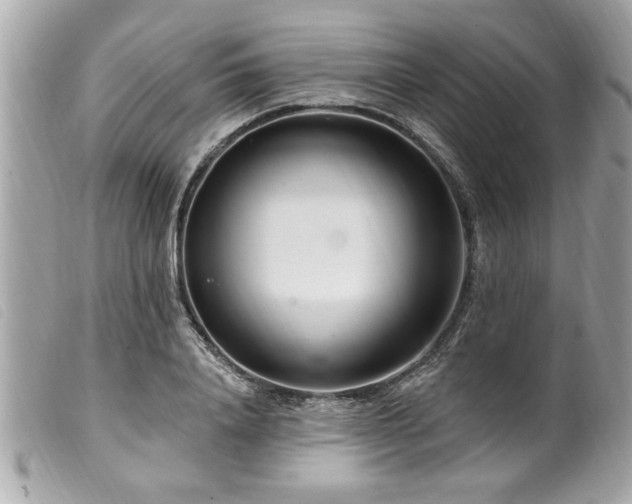 X0000100210840200805301324