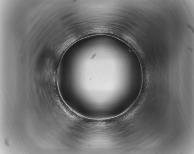 X0000100210841200805301324