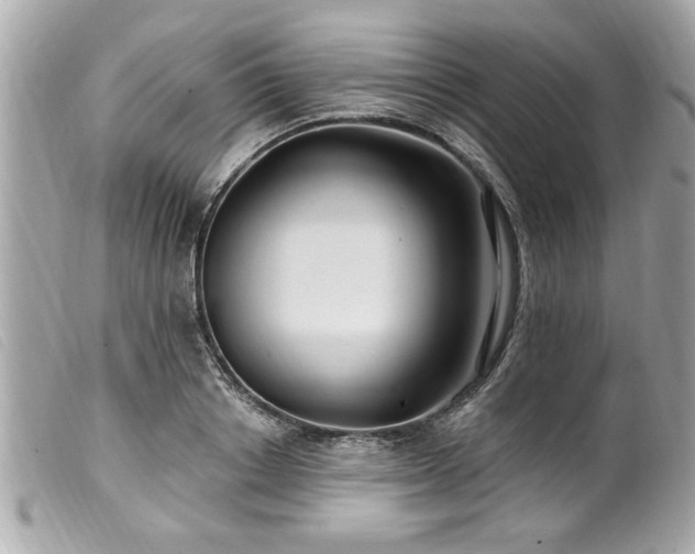 X0000100210842200805301324