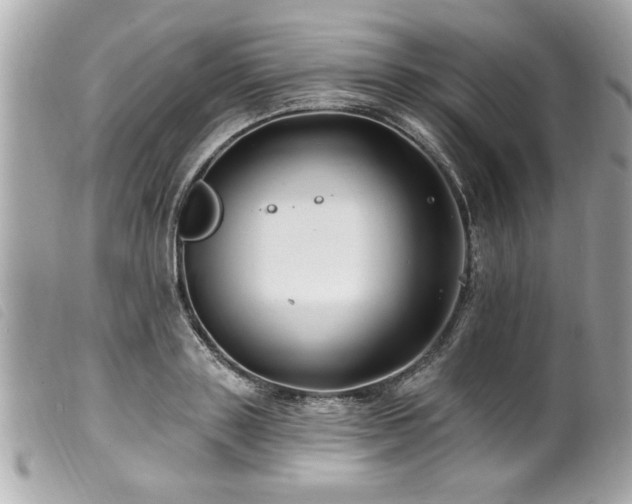 X0000100210843200805301324