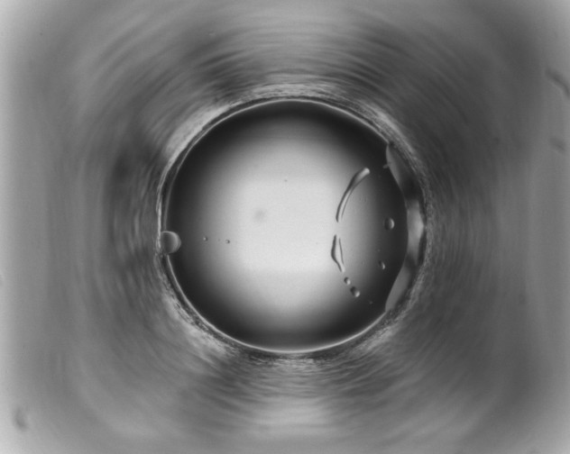 X0000100210844200805301324