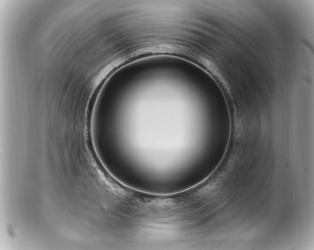 X0000100210845200805301324