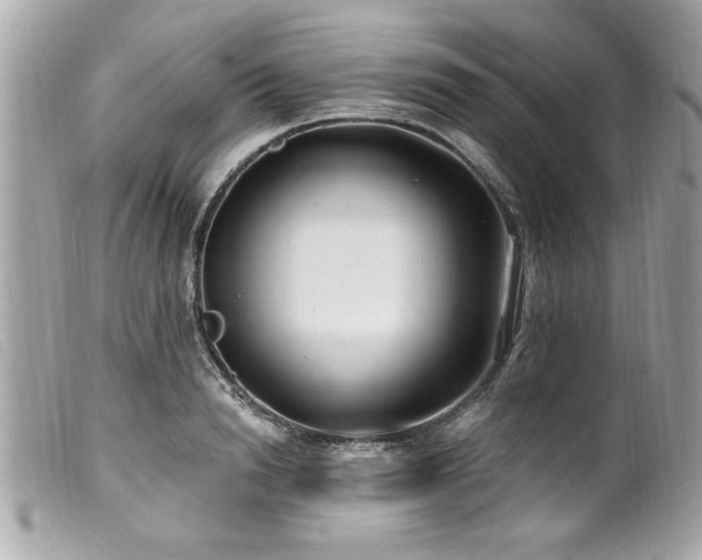 X0000100210846200805301324
