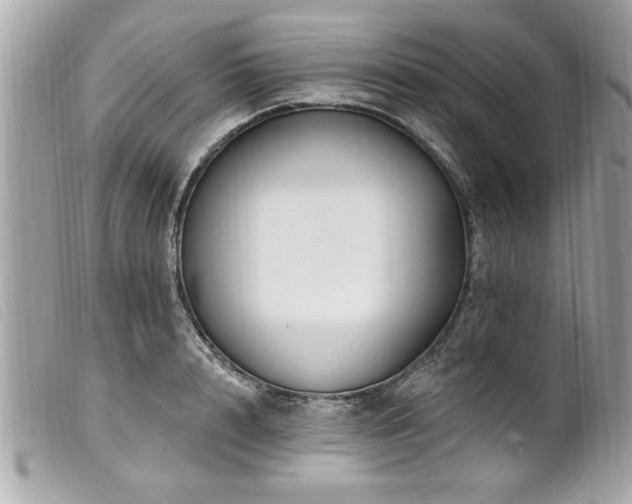 X0000100210848200805301324