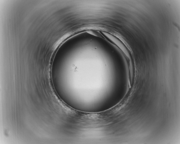X0000100210853200805301324