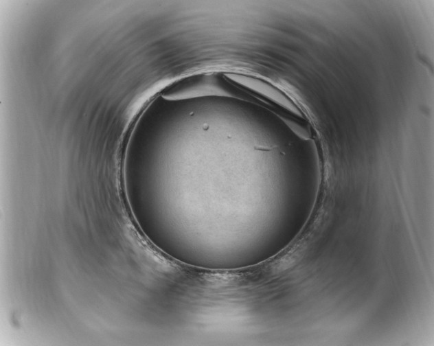 X0000100210854200805301324