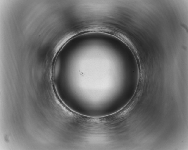 X0000100210855200805301324