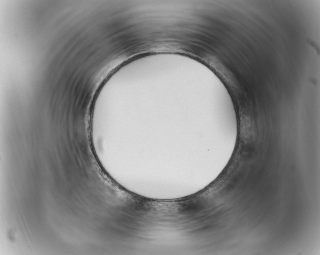 X0000100210856200805301324