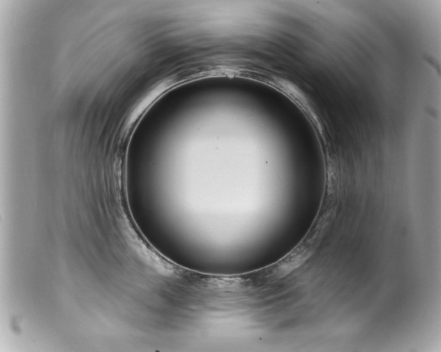X0000100210859200805301324
