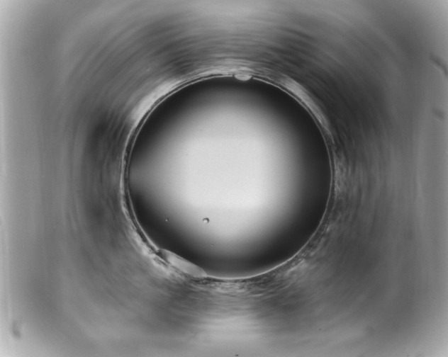 X0000100210861200805301324