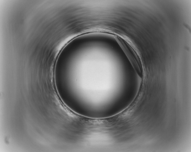 X0000100210862200805301324