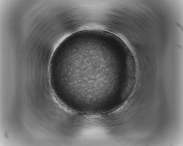 X0000100210864200805301324