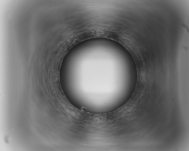 X0000100210865200805301324