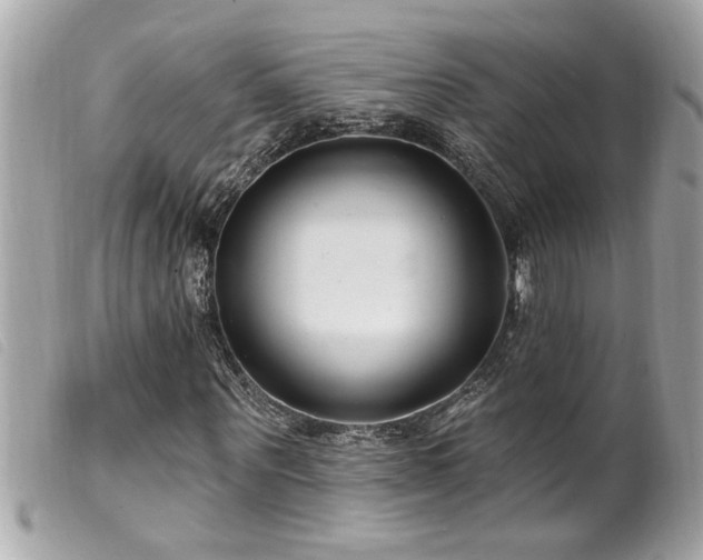 X0000100210867200805301324