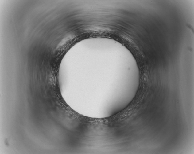 X0000100210869200805301324