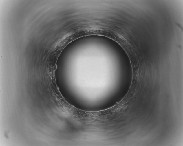 X0000100210870200805301324