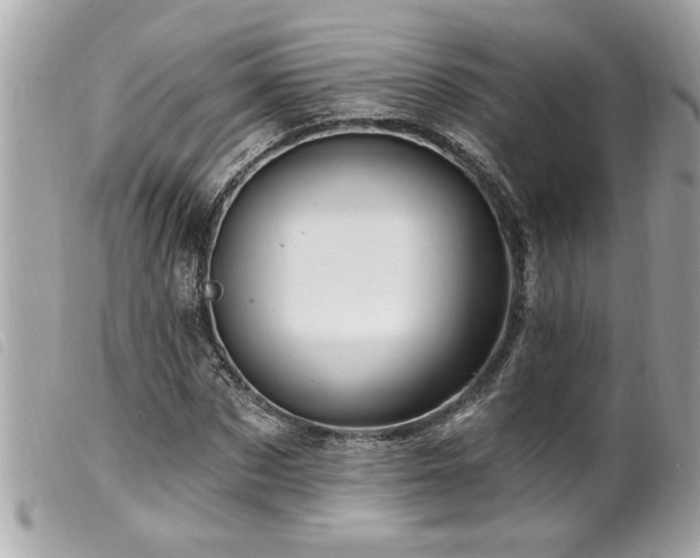 X0000100210873200805301324