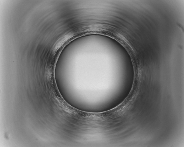 X0000100210874200805301324