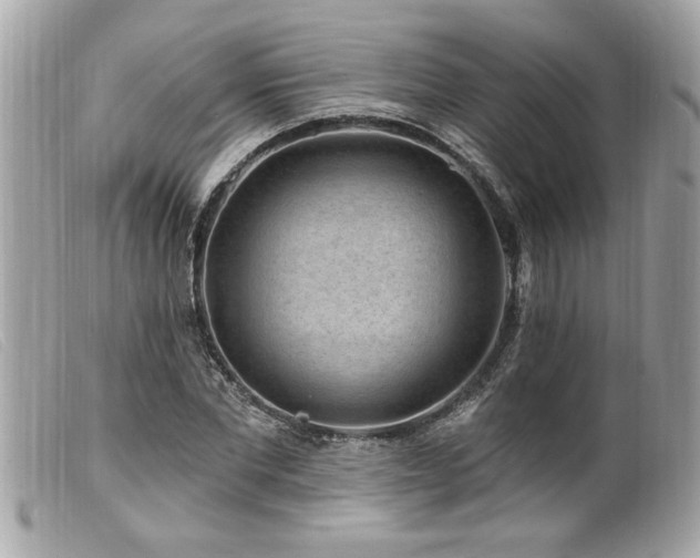 X0000100210877200805301324