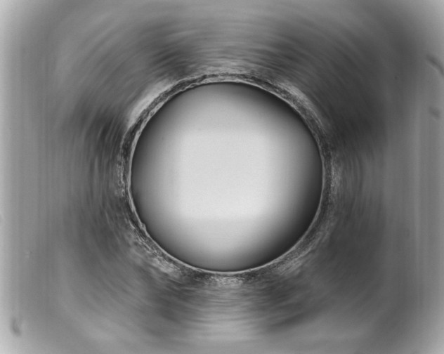 X0000100210878200805301324