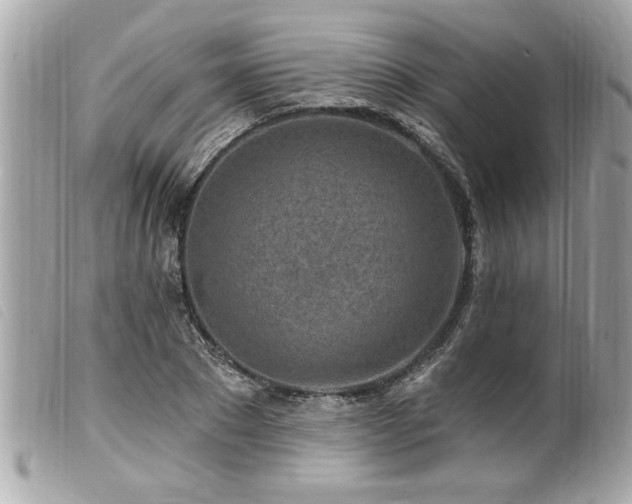 X0000100210881200805301323