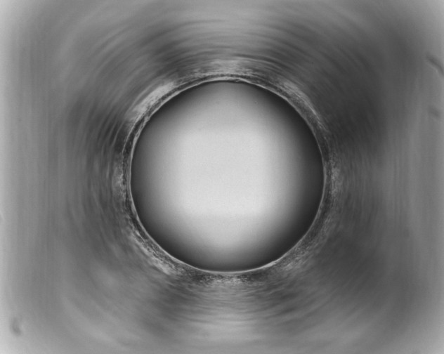 X0000100210882200805301323