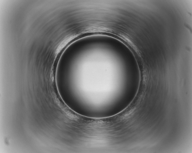 X0000100210885200805301323