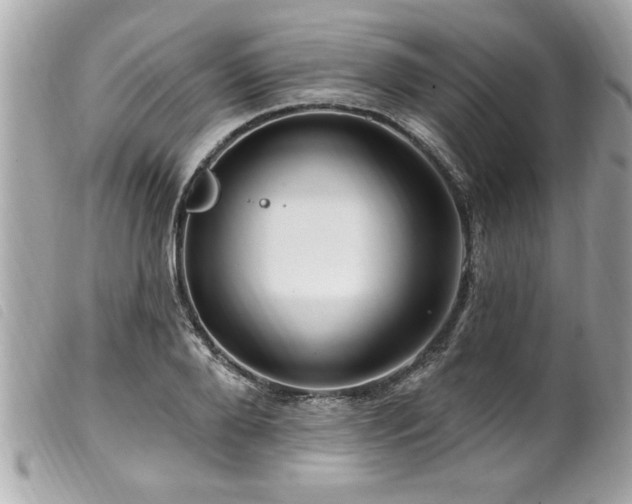 X0000100210888200805301323