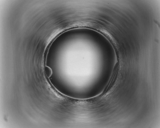 X0000100210894200805301323
