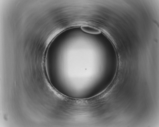 X0000100210901200805301323