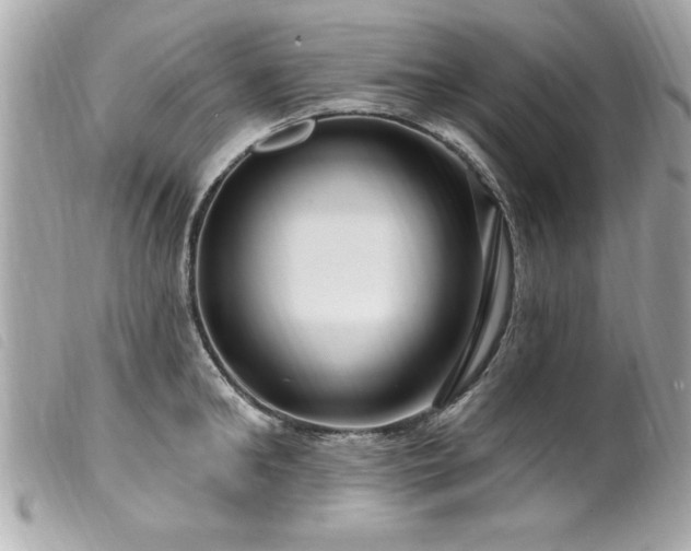 X0000100210902200805301323