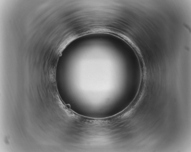 X0000100210905200805301323