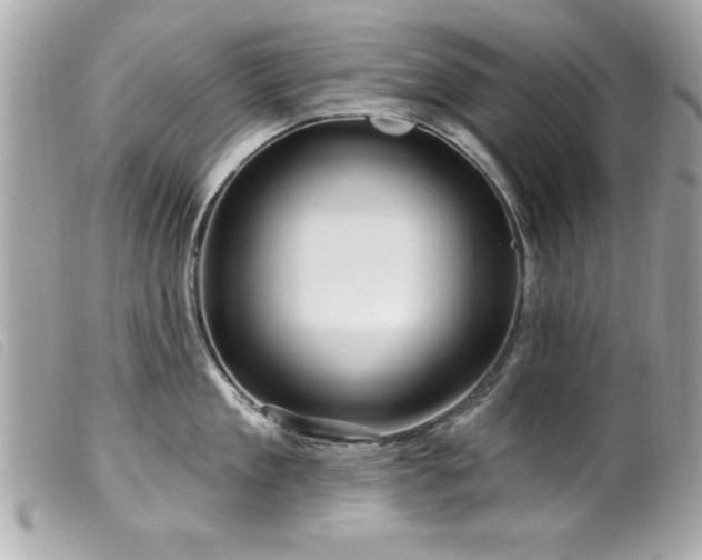 X0000100210909200805301323