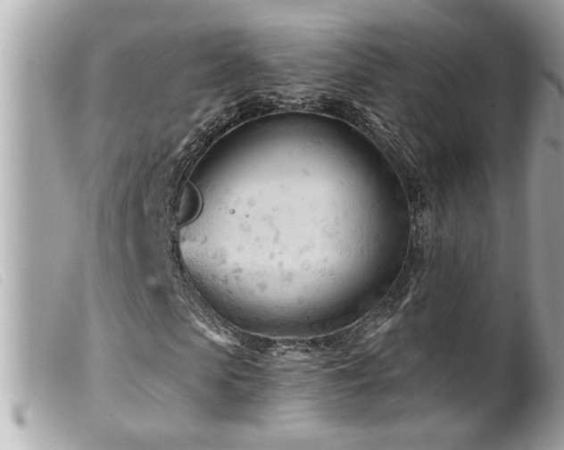 X0000100210913200805301322