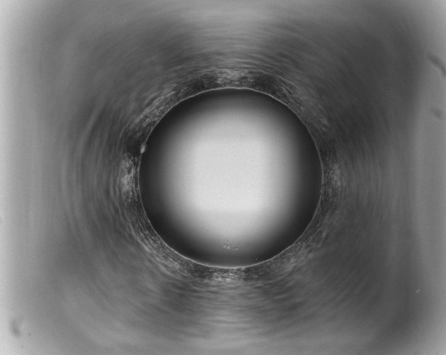 X0000100210914200805301322