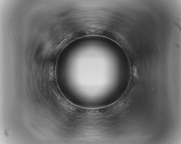 X0000100210915200805301322