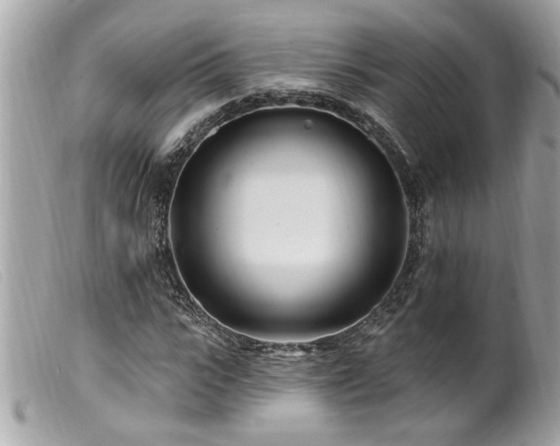 X0000100210919200805301322