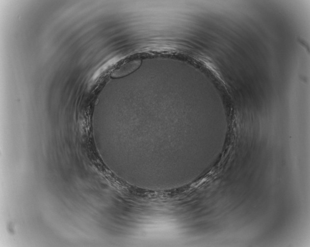 X0000100210920200805301322