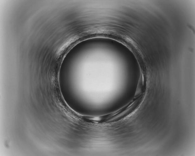 X0000100210922200805301322