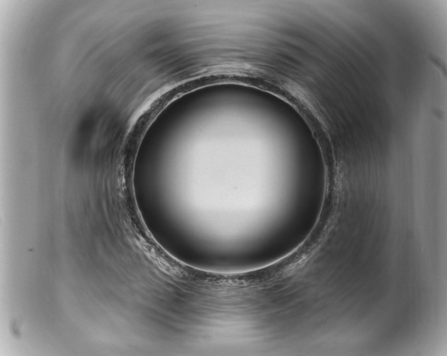 X0000100210923200805301322