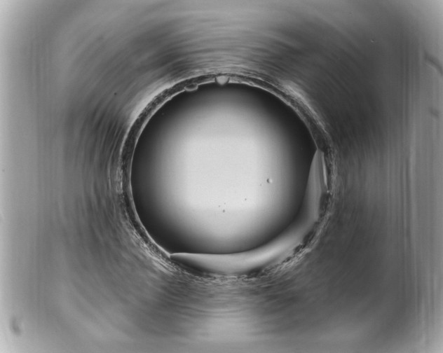 X0000100210924200805301322