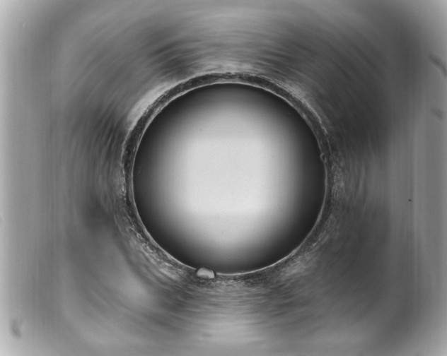 X0000100210927200805301322