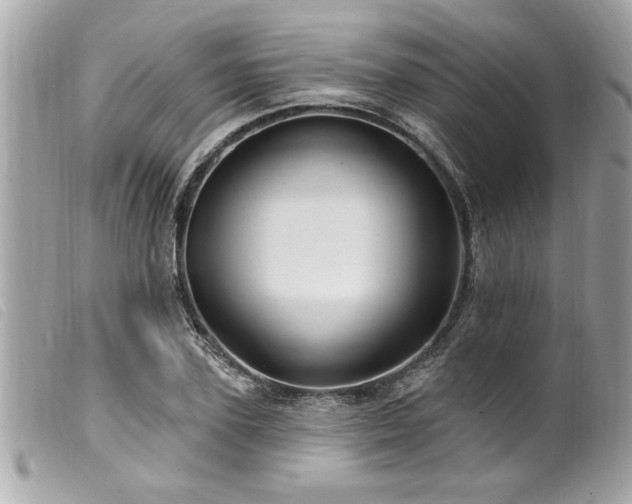 X0000100210931200805301323