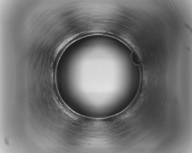 X0000100210933200805301323