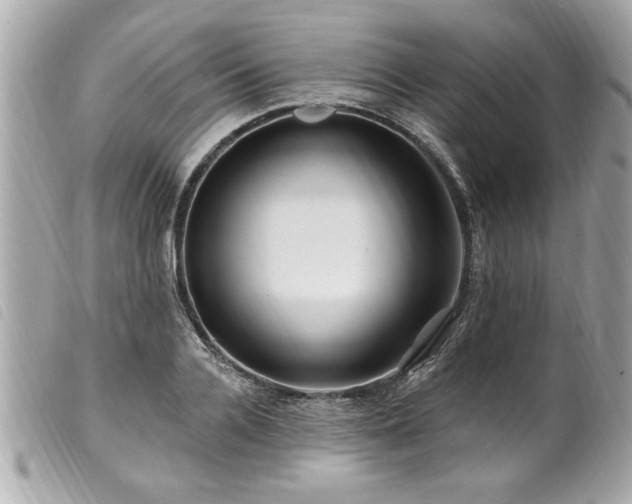 X0000100210936200805301323