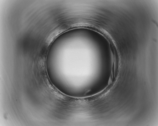 X0000100210937200805301323