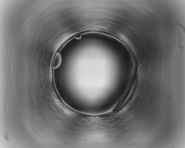X0000100210940200805301323